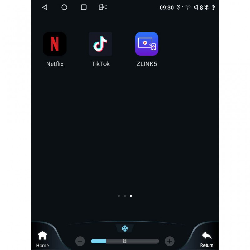 LENOVO SSW 10955_CPA TESLA STYLE  for FORD FOCUS mod. 2011-2017